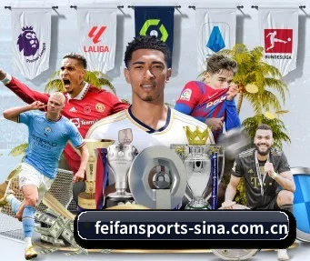 非凡体育 APP - FEIFAN SPORTS